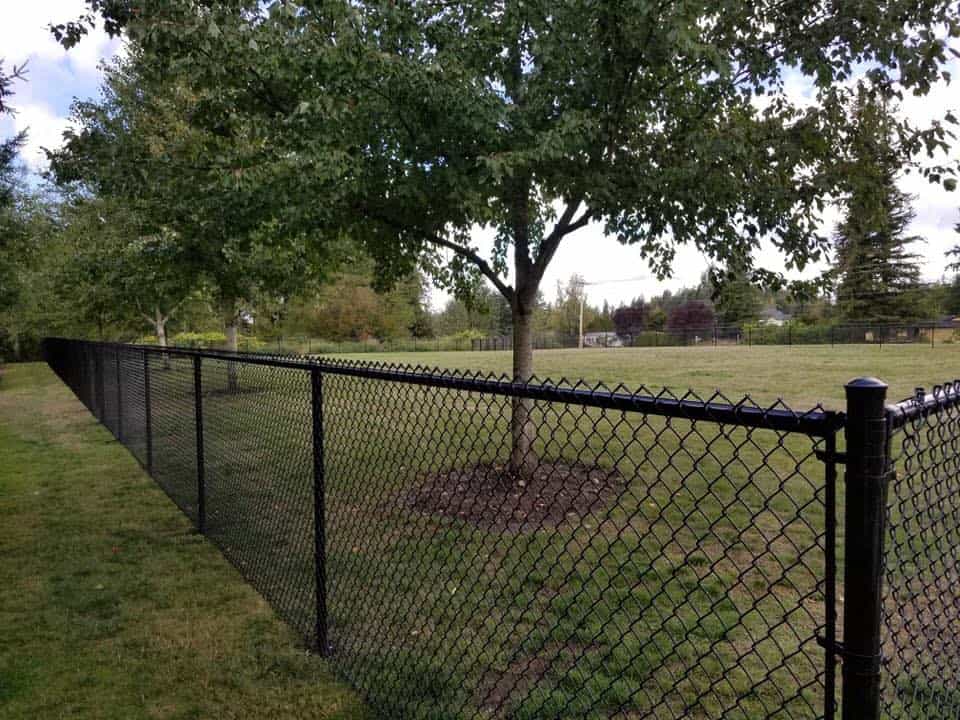 Black vinyl-coated chain link fence at a Los Angeles property
